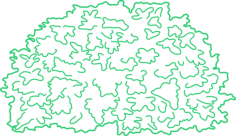 Plants Bushes Editable Svg Line Art, Free Vectors File